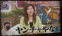 2025年5月１３日　テレビ朝日　キョコロヒー　出演